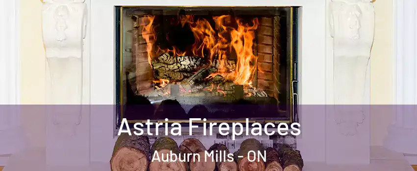  Astria Fireplaces Auburn Mills - ON