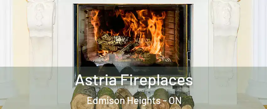 Astria Fireplaces Edmison Heights - ON