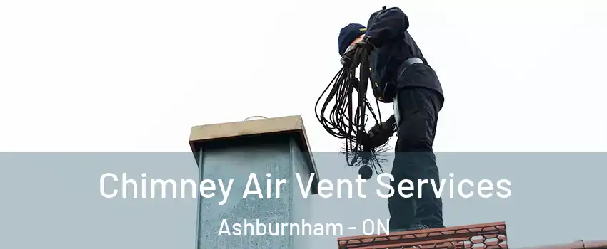 Chimney Air Vent Services Ashburnham - ON
