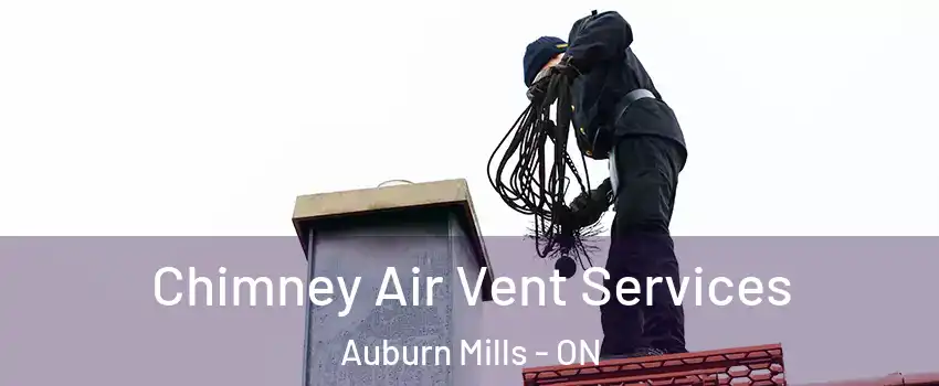  Chimney Air Vent Services Auburn Mills - ON