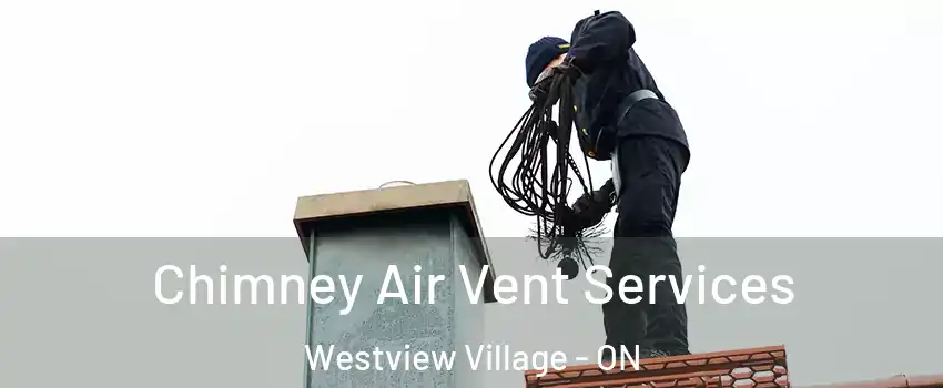 Chimney Air Vent Services Westview Village - ON