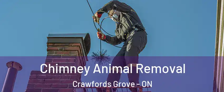 Chimney Animal Removal Crawfords Grove - ON