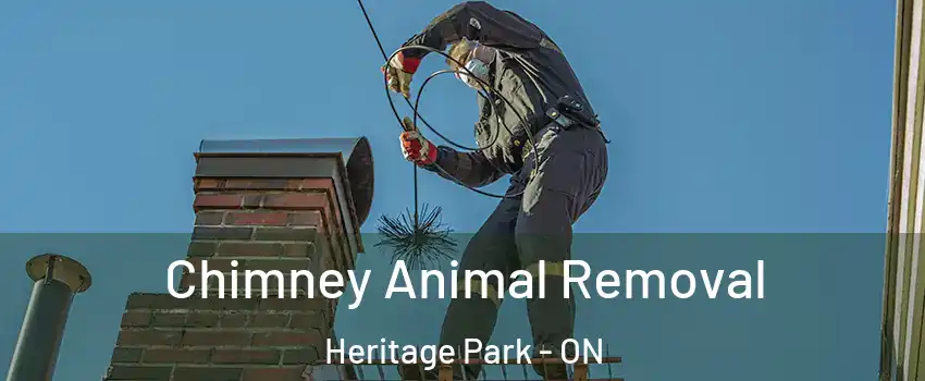  Chimney Animal Removal Heritage Park - ON