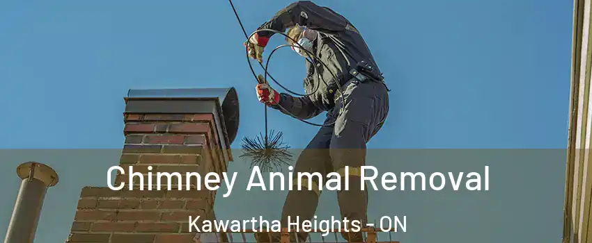  Chimney Animal Removal Kawartha Heights - ON
