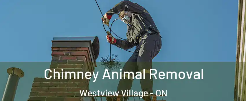 Chimney Animal Removal Westview Village - ON