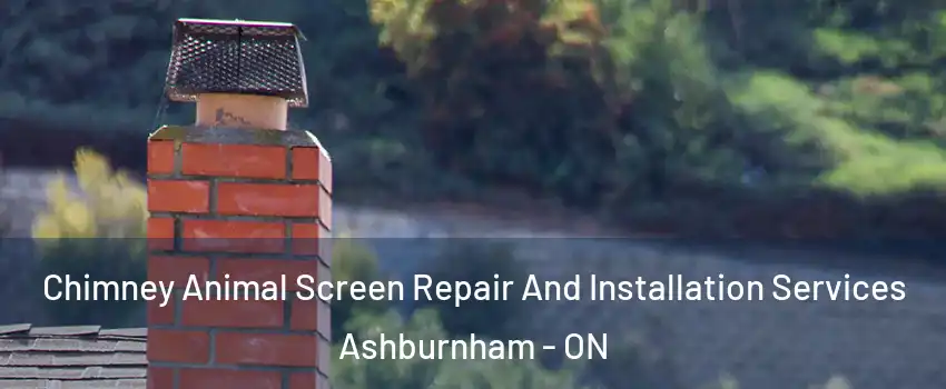  Chimney Animal Screen Repair And Installation Services Ashburnham - ON