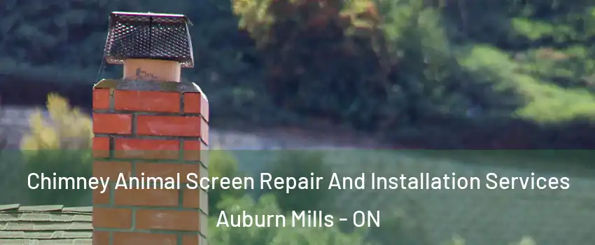  Chimney Animal Screen Repair And Installation Services Auburn Mills - ON