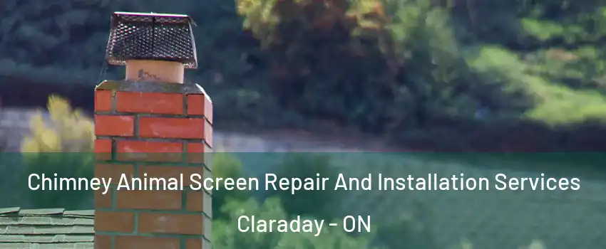  Chimney Animal Screen Repair And Installation Services Claraday - ON