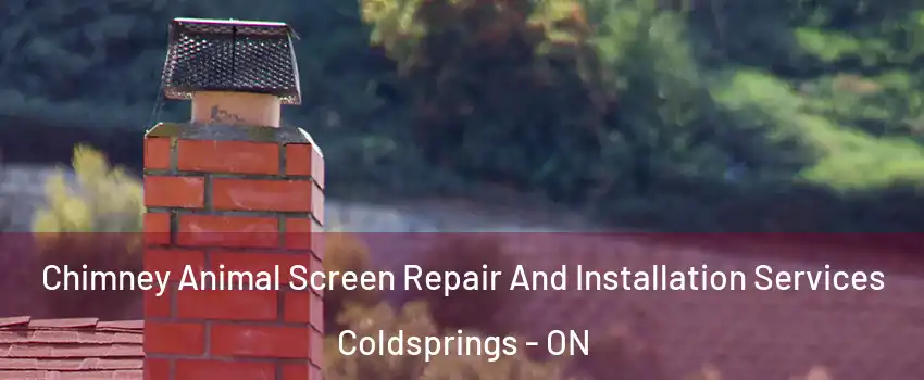 Chimney Animal Screen Repair And Installation Services Coldsprings - ON