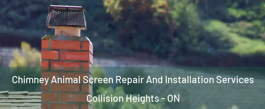  Chimney Animal Screen Repair And Installation Services Collision Heights - ON