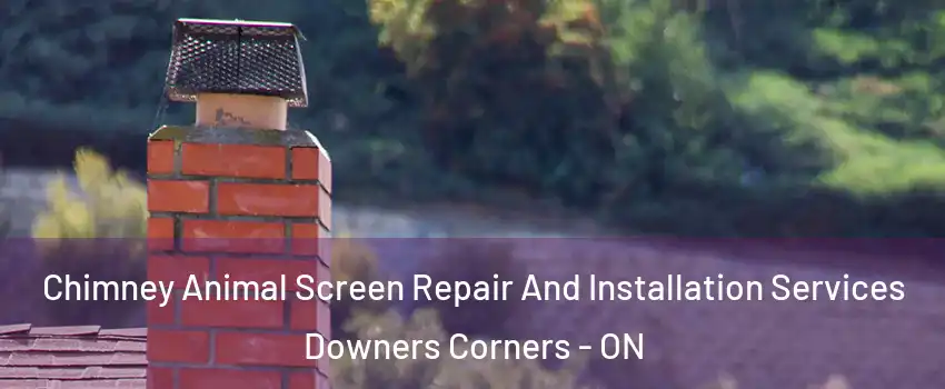  Chimney Animal Screen Repair And Installation Services Downers Corners - ON