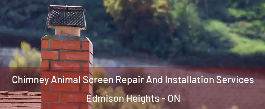  Chimney Animal Screen Repair And Installation Services Edmison Heights - ON