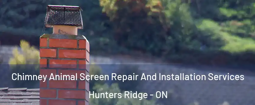  Chimney Animal Screen Repair And Installation Services Hunters Ridge - ON