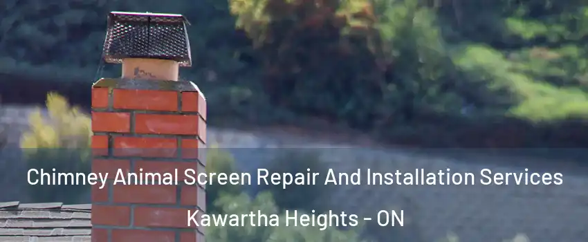  Chimney Animal Screen Repair And Installation Services Kawartha Heights - ON