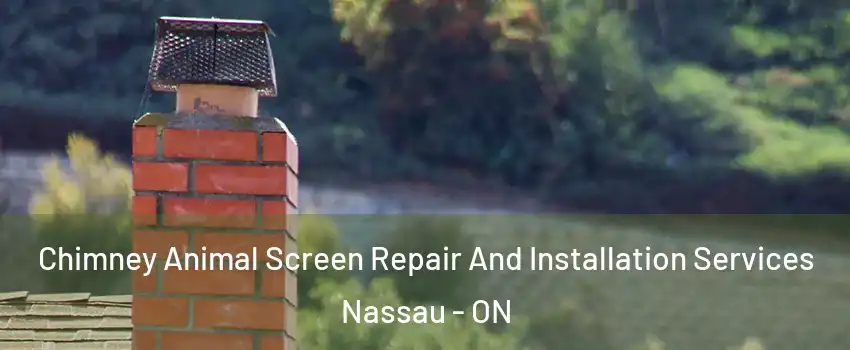  Chimney Animal Screen Repair And Installation Services Nassau - ON