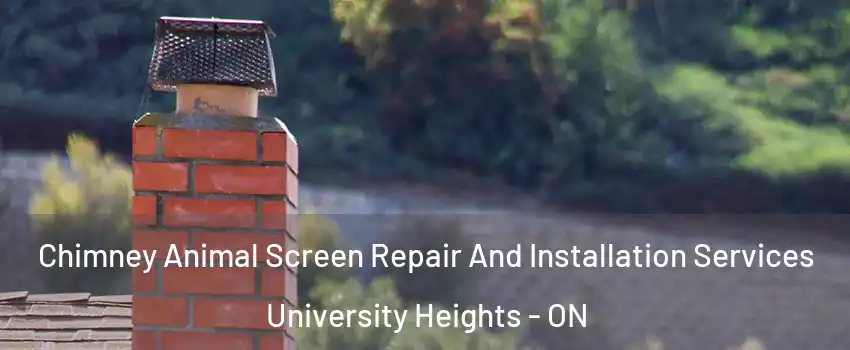 Chimney Animal Screen Repair And Installation Services University Heights - ON