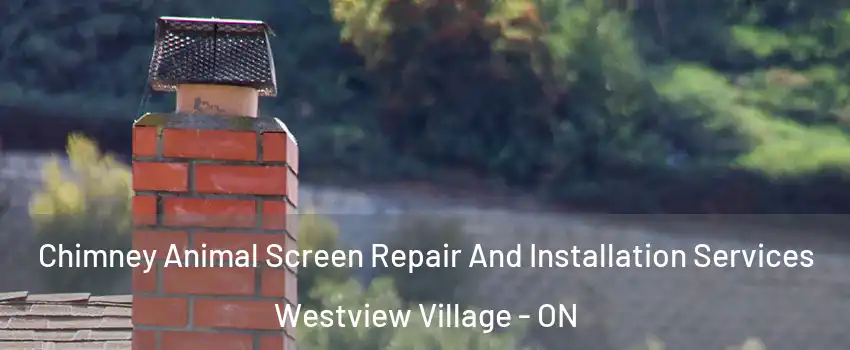  Chimney Animal Screen Repair And Installation Services Westview Village - ON
