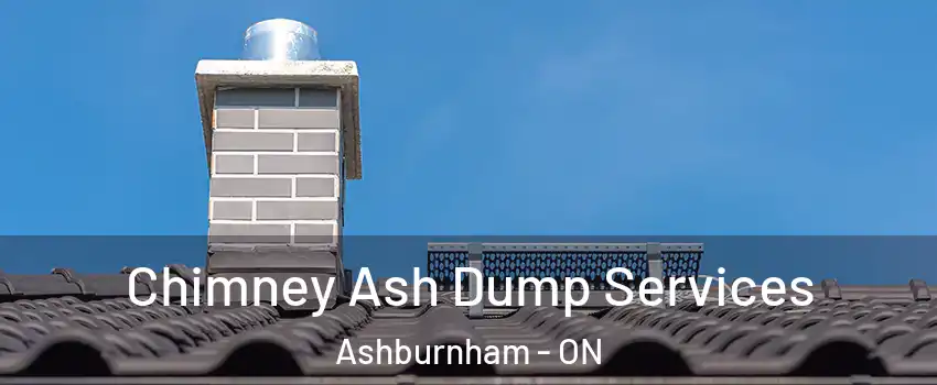 Chimney Ash Dump Services Ashburnham - ON