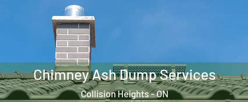  Chimney Ash Dump Services Collision Heights - ON