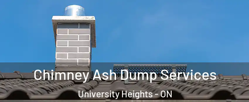 Chimney Ash Dump Services University Heights - ON