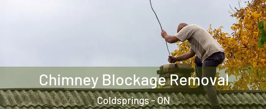  Chimney Blockage Removal Coldsprings - ON