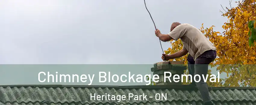  Chimney Blockage Removal Heritage Park - ON