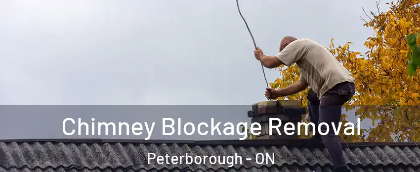  Chimney Blockage Removal Peterborough - ON