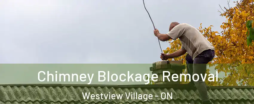 Chimney Blockage Removal Westview Village - ON