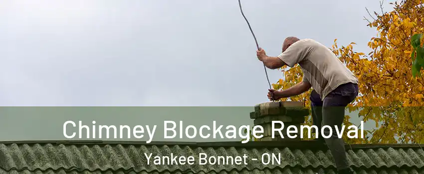 Chimney Blockage Removal Yankee Bonnet - ON