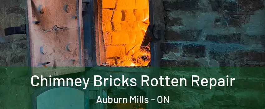  Chimney Bricks Rotten Repair Auburn Mills - ON