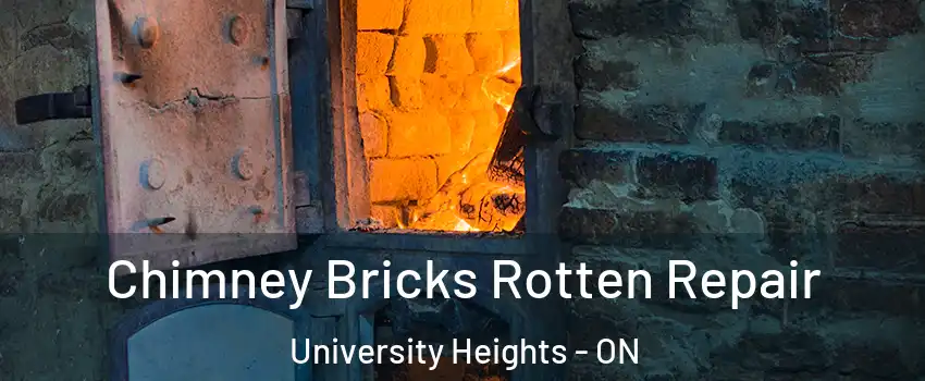 Chimney Bricks Rotten Repair University Heights - ON