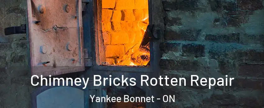  Chimney Bricks Rotten Repair Yankee Bonnet - ON