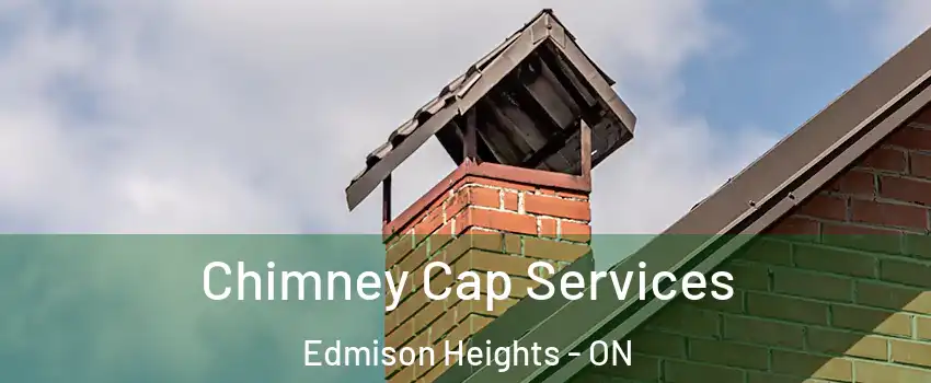 Chimney Cap Services Edmison Heights - ON