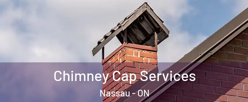 Chimney Cap Services Nassau - ON