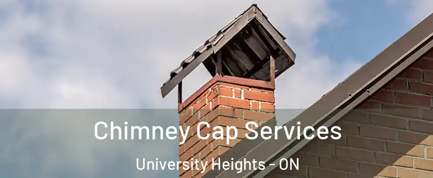 Chimney Cap Services University Heights - ON