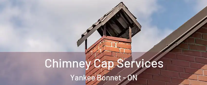  Chimney Cap Services Yankee Bonnet - ON