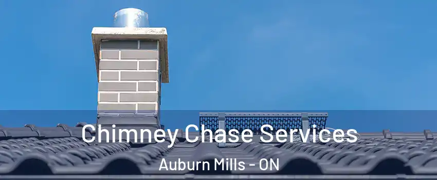 Chimney Chase Services Auburn Mills - ON