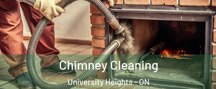  Chimney Cleaning University Heights - ON