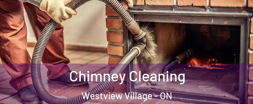 Chimney Cleaning Westview Village - ON