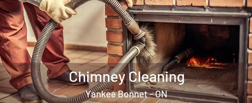  Chimney Cleaning Yankee Bonnet - ON