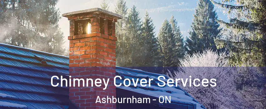 Chimney Cover Services Ashburnham - ON