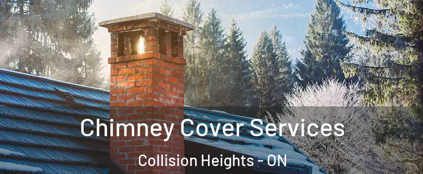  Chimney Cover Services Collision Heights - ON