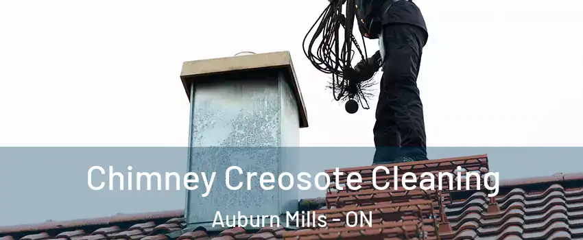 Chimney Creosote Cleaning Auburn Mills - ON
