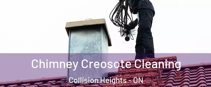 Chimney Creosote Cleaning Collision Heights - ON