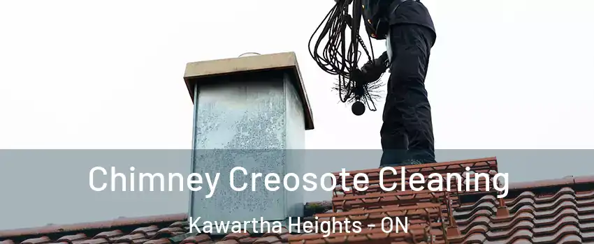  Chimney Creosote Cleaning Kawartha Heights - ON