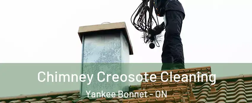  Chimney Creosote Cleaning Yankee Bonnet - ON