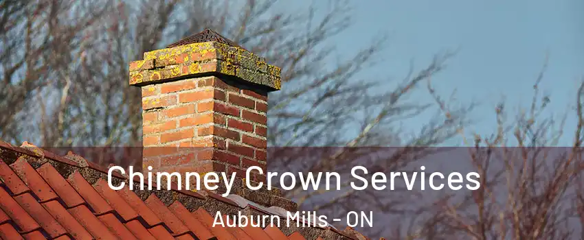  Chimney Crown Services Auburn Mills - ON