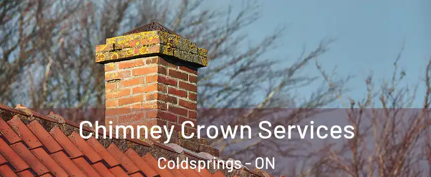  Chimney Crown Services Coldsprings - ON