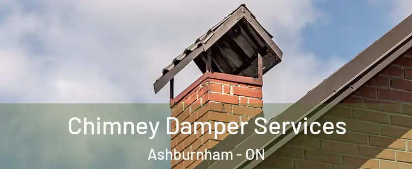 Chimney Damper Services Ashburnham - ON