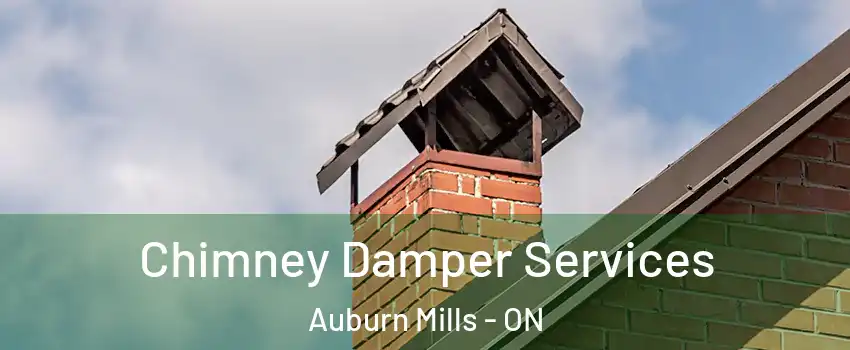  Chimney Damper Services Auburn Mills - ON